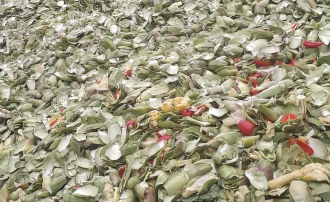 Descarte de alcachofa